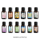 Kit com 5 Essências para difusor aromatizador - 15ml cada
