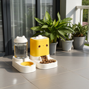 Alimentador automático para gatos