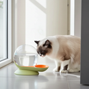Bebedouro automático para cães e gatos em formato de caracol